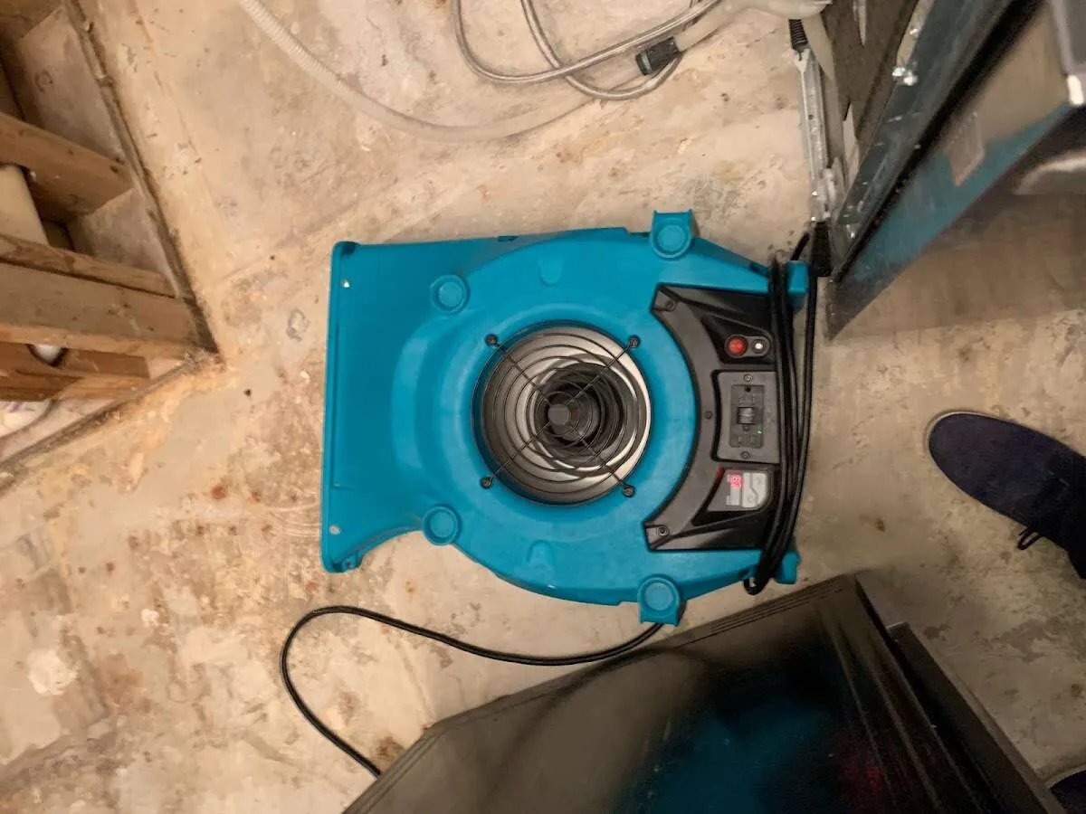 Air mover drying equipment for Mold Remediation & Removal in Pauls Valley